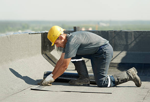 Best Energy Efficiency Solutions in Lynnwood, WA