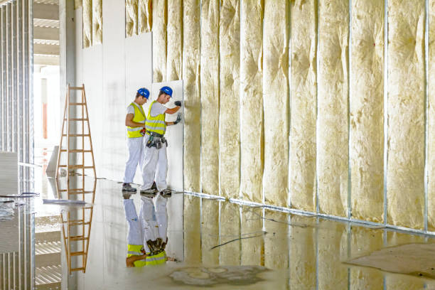 Best Residential Insulation in Lynnwood, WA